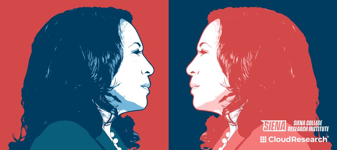 Kamala Harris 2024 election analysis banner showing insights about persuadable voters who may decide the presidential race between Harris and Trump