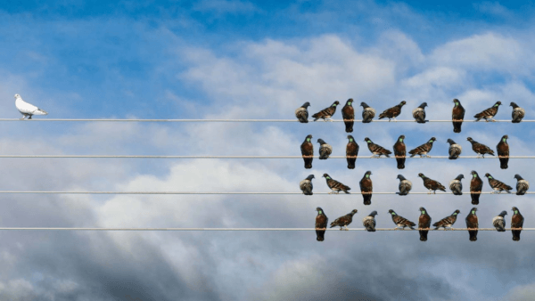 Association for Psychological Science (APS)